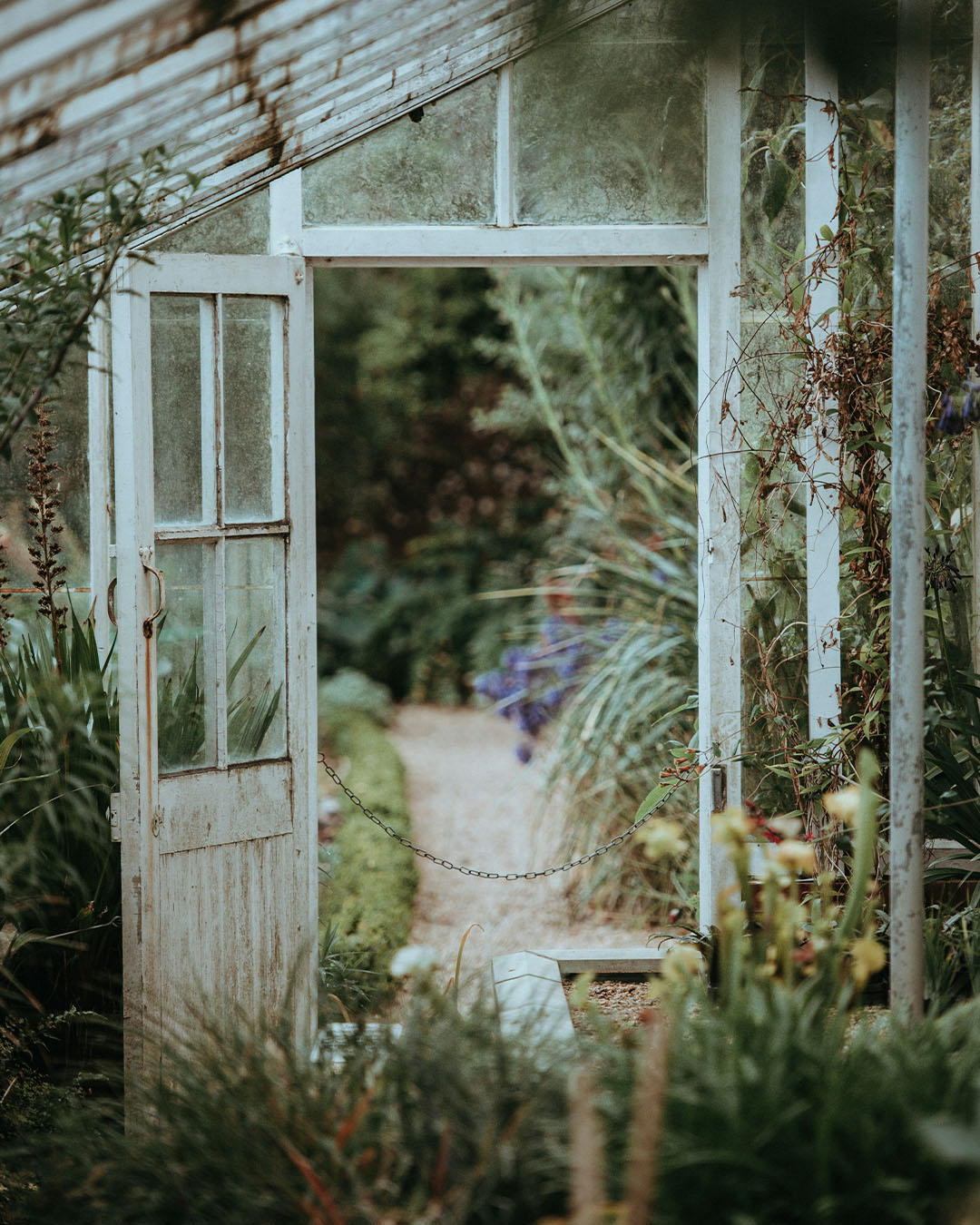 Greenhouse
